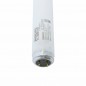 لامپ UVA با توان 80 وات فیلیپس TL 80w 10R